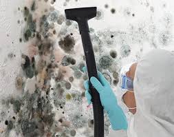 Best Mold Prevention Services  in Elkhart, TX